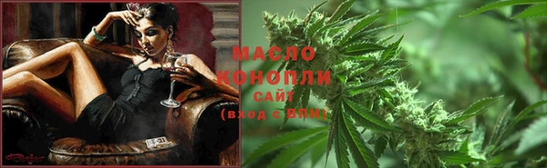 ешки Горняк