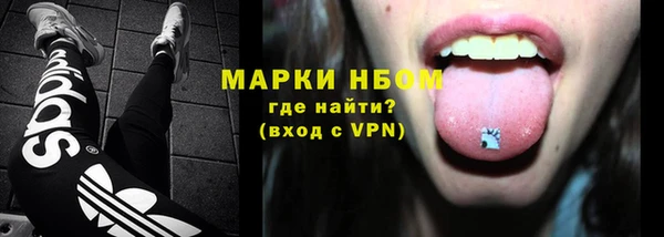 стаф Вязьма