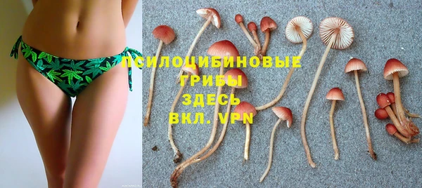 скорость Горнозаводск