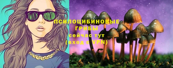 COCAINE Горно-Алтайск