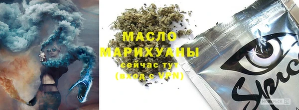 ешки Горняк